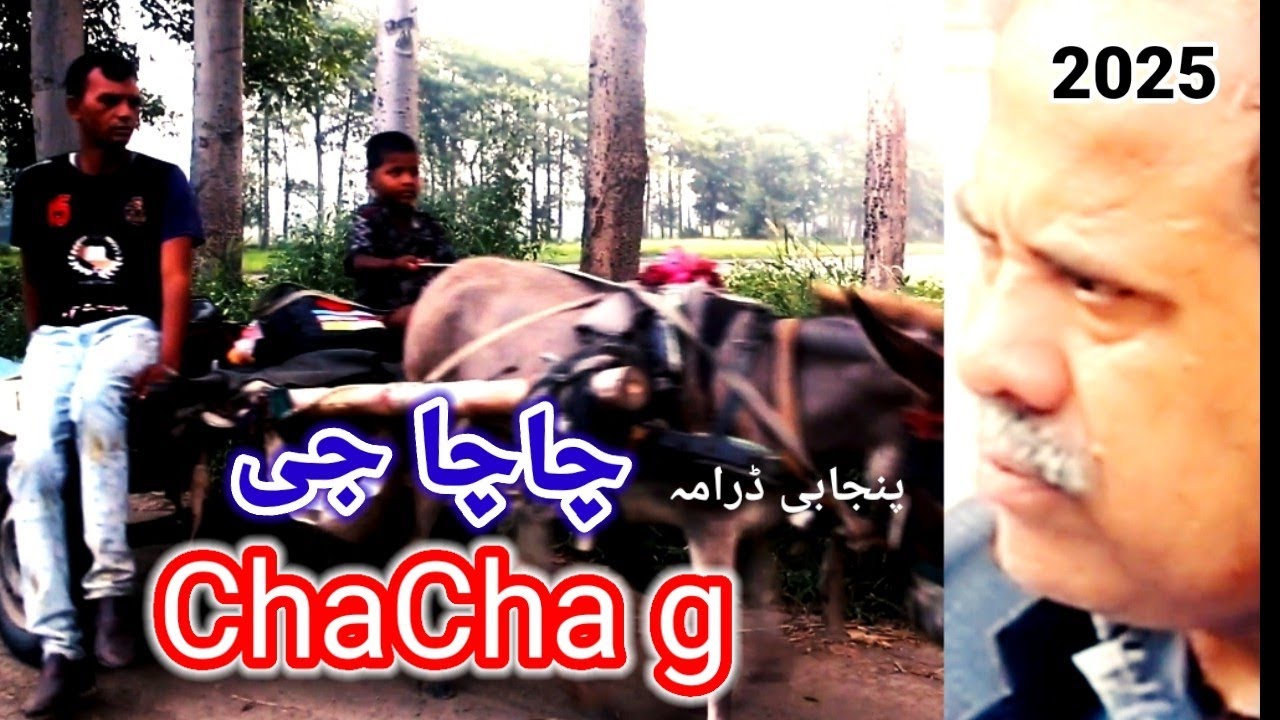 chacha g | چاچا جی | Punjabi drama| veer tv