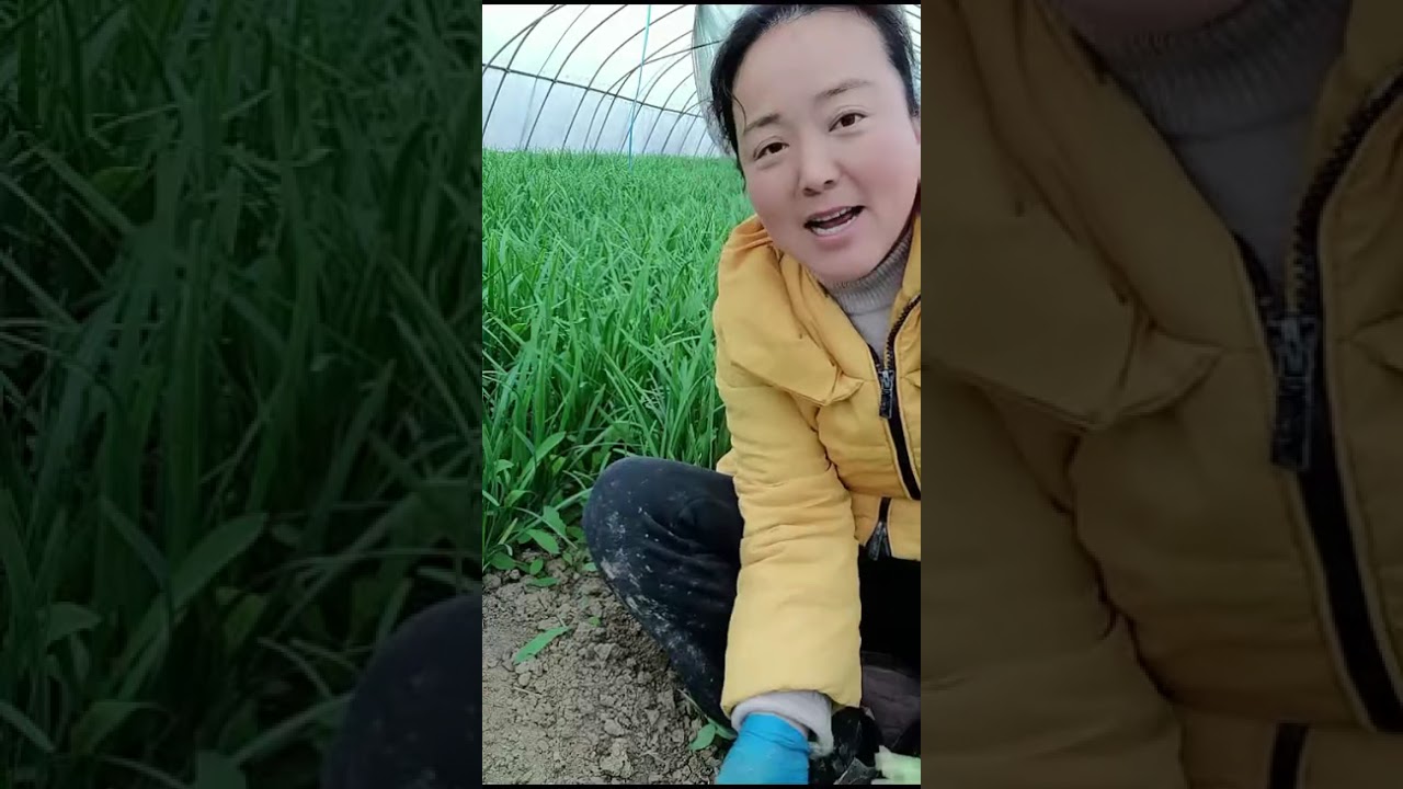 So live and do useful things