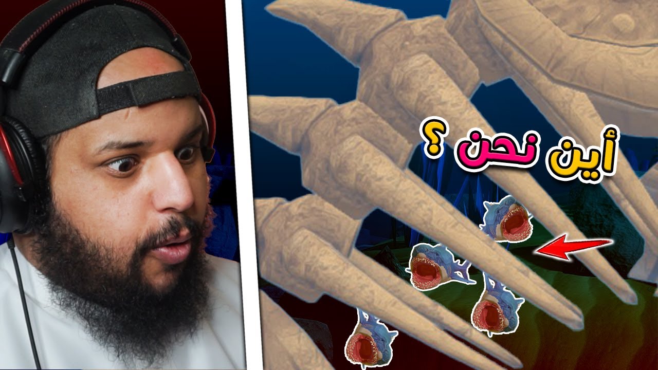 حياة سمكة الميتة ما تموت ابدا الا في حالة وحدة