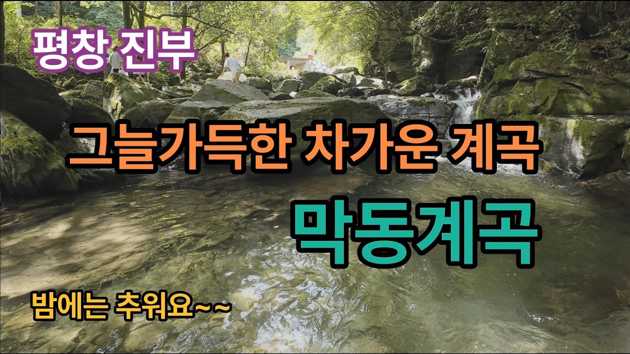 [평창계곡]그늘가득 물맑은 막동계곡 / 열대야 없고 밤에는 추워요
