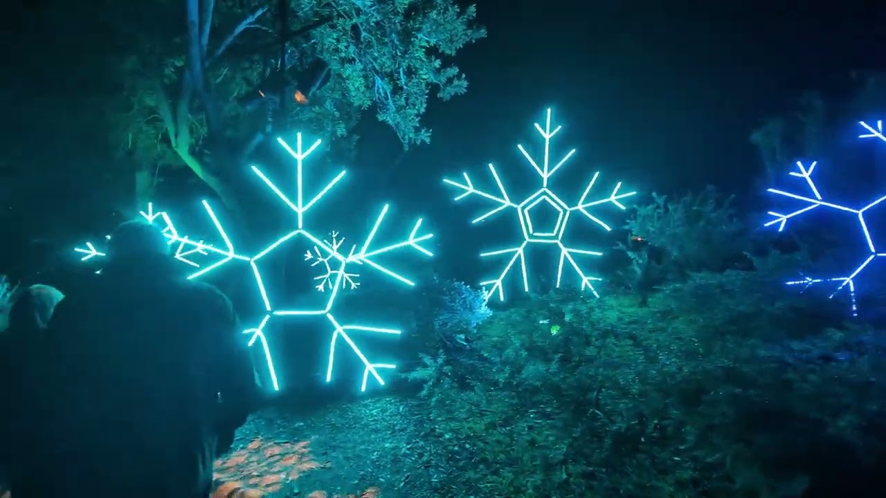 San Diego Botanical Gardens Christmas Lights