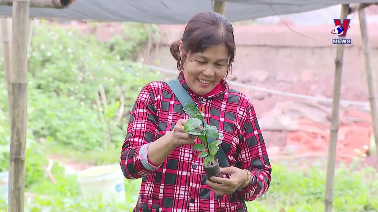 Vietnam&rsquo;s sustainable revolution in poverty reduction