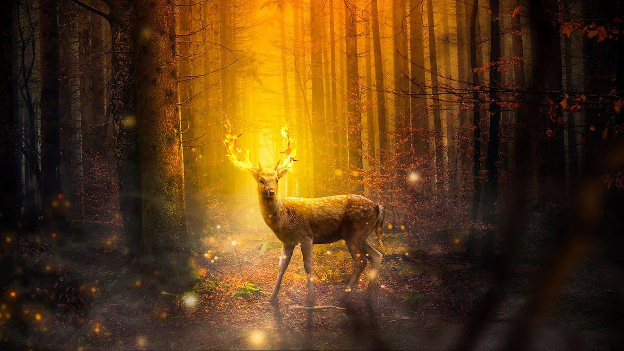 Musica para Estudiar y Concentrarse ☯ Musica Relajante para Trabajar, Leer y Memorizar Rapido