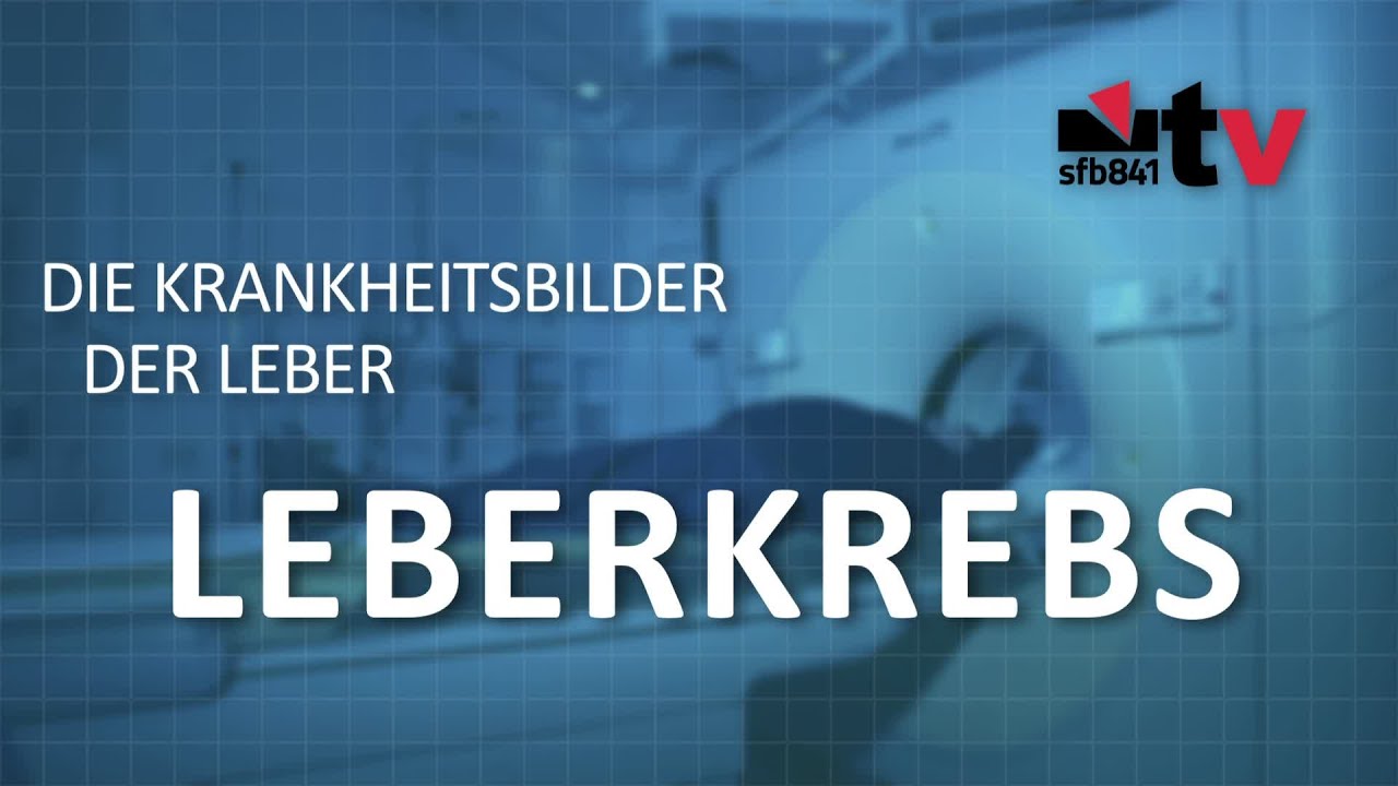 Leberkrebs - die Krankheitsbilder der Leber Teil 2