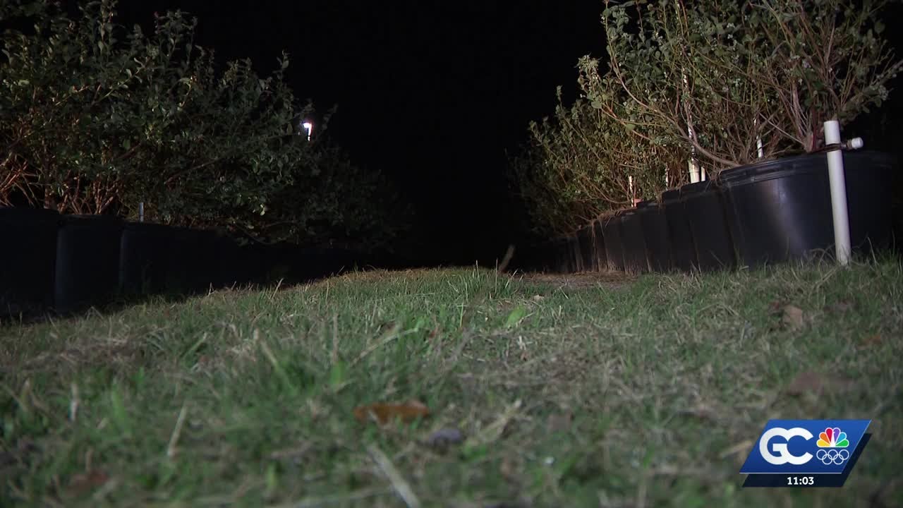 Florida farmers face billions in losses due to cold weather