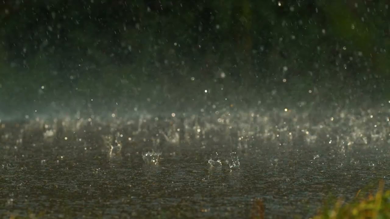 Shizuku MV from 