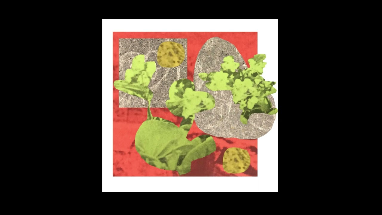 Group Listening - Frogs