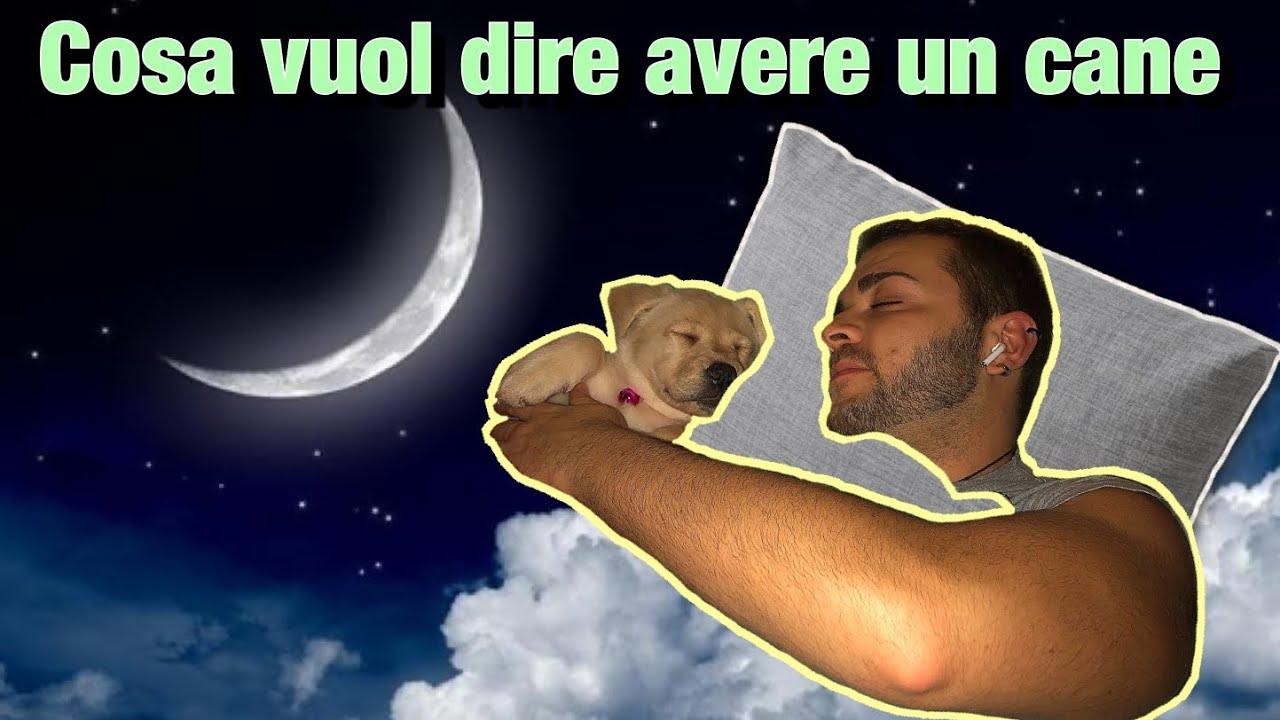 COSA VUOL DIRE AVERE UN CANE? VANTAGGI E SVANTAGGI!