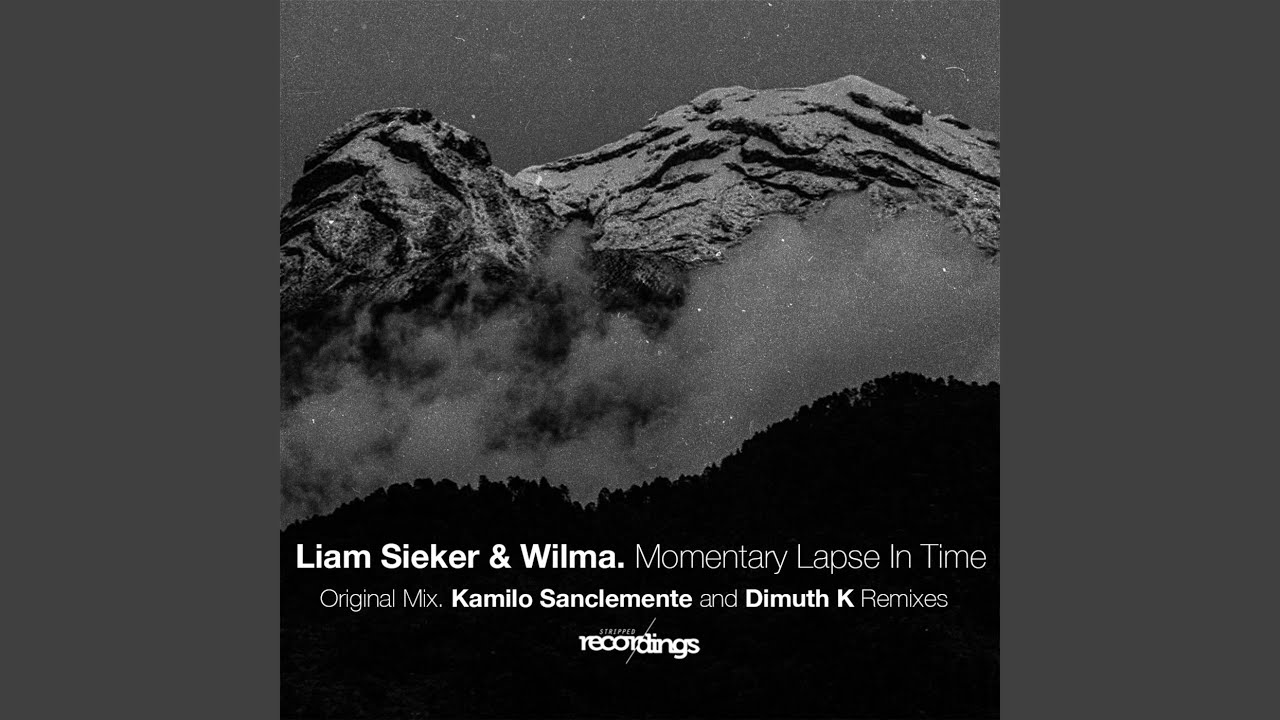 Momentary Lapse in Time (Kamilo Sanclemente Remix)