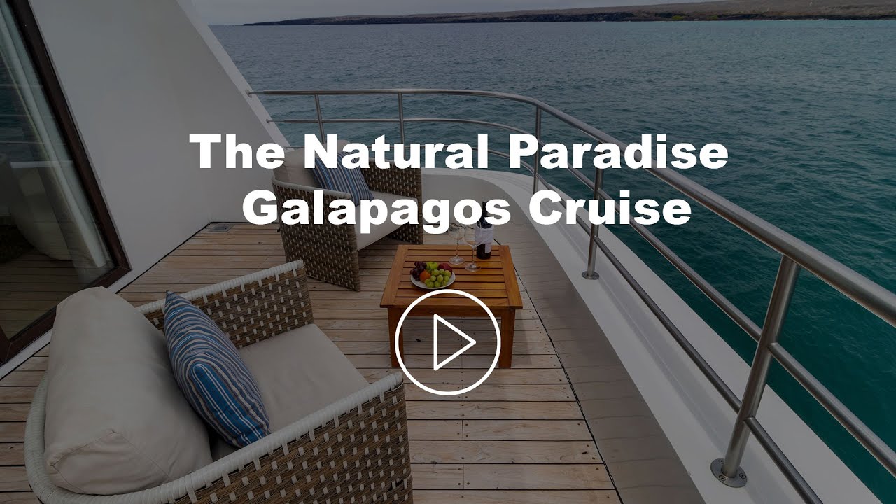 The Natural Paradise Galapagos Cruise - Small Ship Galapagos Cruise