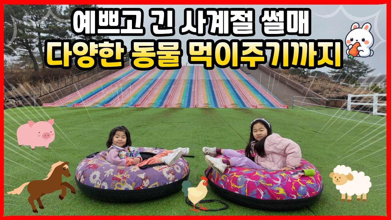 제주 아이와 가볼만한곳 : 삼다마을목장 (사계절 썰매 + 동물 먹이주기)