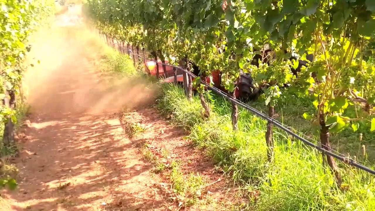 FENDT 207 V. LAVORAZIONI IN VIGNETO