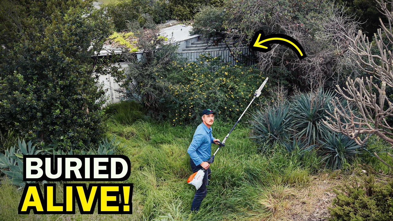 I BET You&rsquo;ve Never Seen a Backyard THIS BAD&hellip;