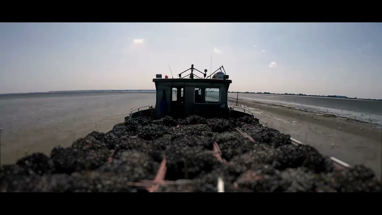 Maison Morisseau - Film institutionnel