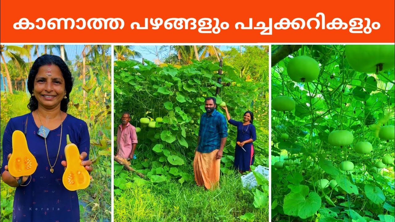 Real Amazing Farmer In Kerala | വ്യത്യസ്തനായ കർഷകൻ