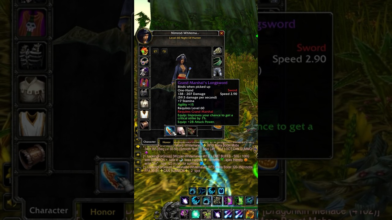 ⚡️1 на 1 R14 Full BiS Hunter - Нимрод против Морфа ⚡️#worldofwarcraft #wowclassic #classicwow #ga...