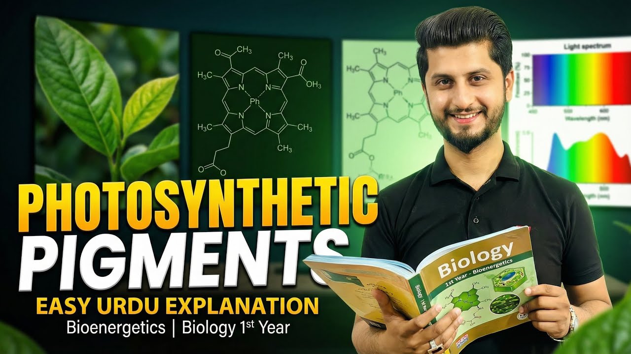Photosynthetic pigments and their Role| Bioenergetics | Biology 1st Year | Easy Urdu Explanation