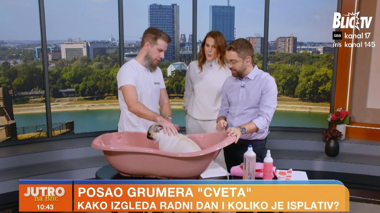 Grumer otkriva: najče&scaron;će gre&scaron;ke pri kupanju pasa - i kako da ih izbegnete!