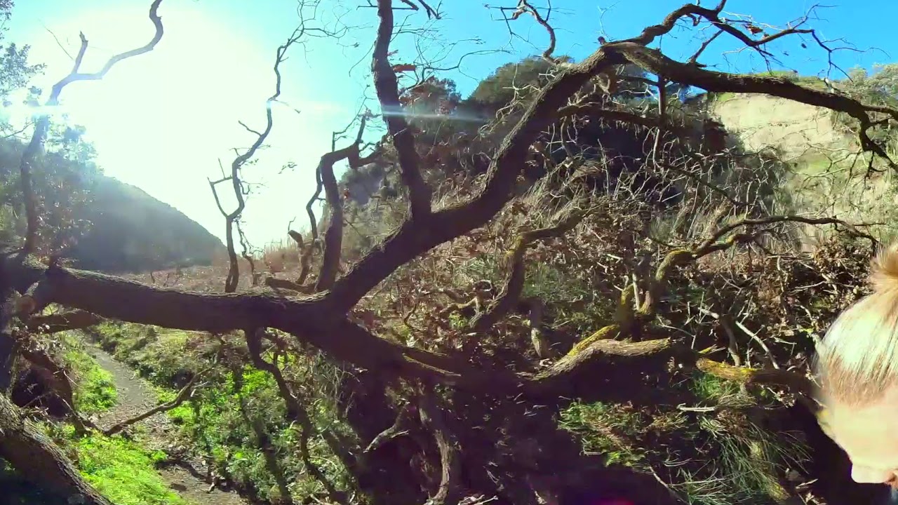 Video vr : La Pelara Ischia