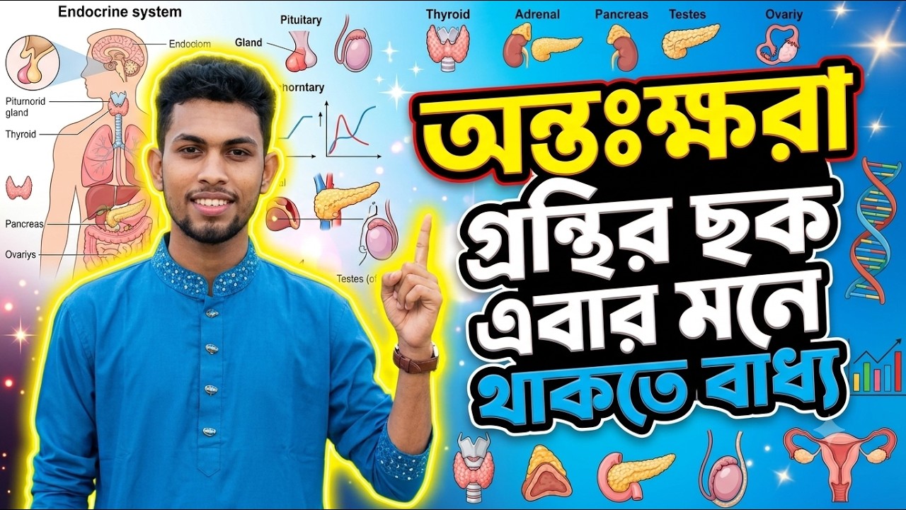 অন্তঃক্ষরা গ্রন্থির ছক মনে রাখো সবচেয়ে  সহজ উপায়ে