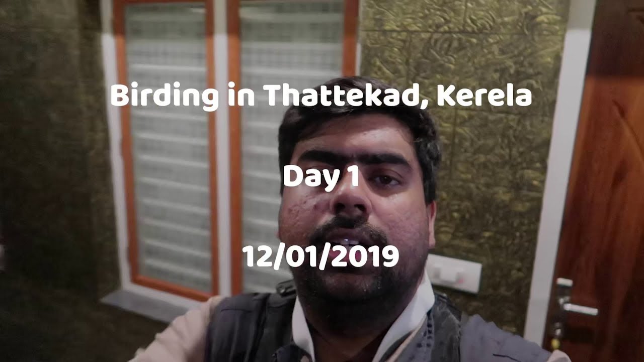 Birding in Kerala - Thattekad - Day 1