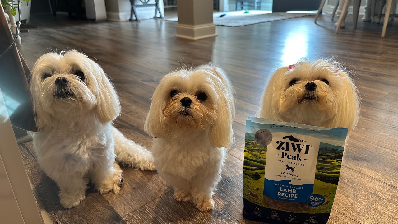 ZIWI Peak Air-Dried Dog Food Review: A Healthier Choice for Your Dog #ad