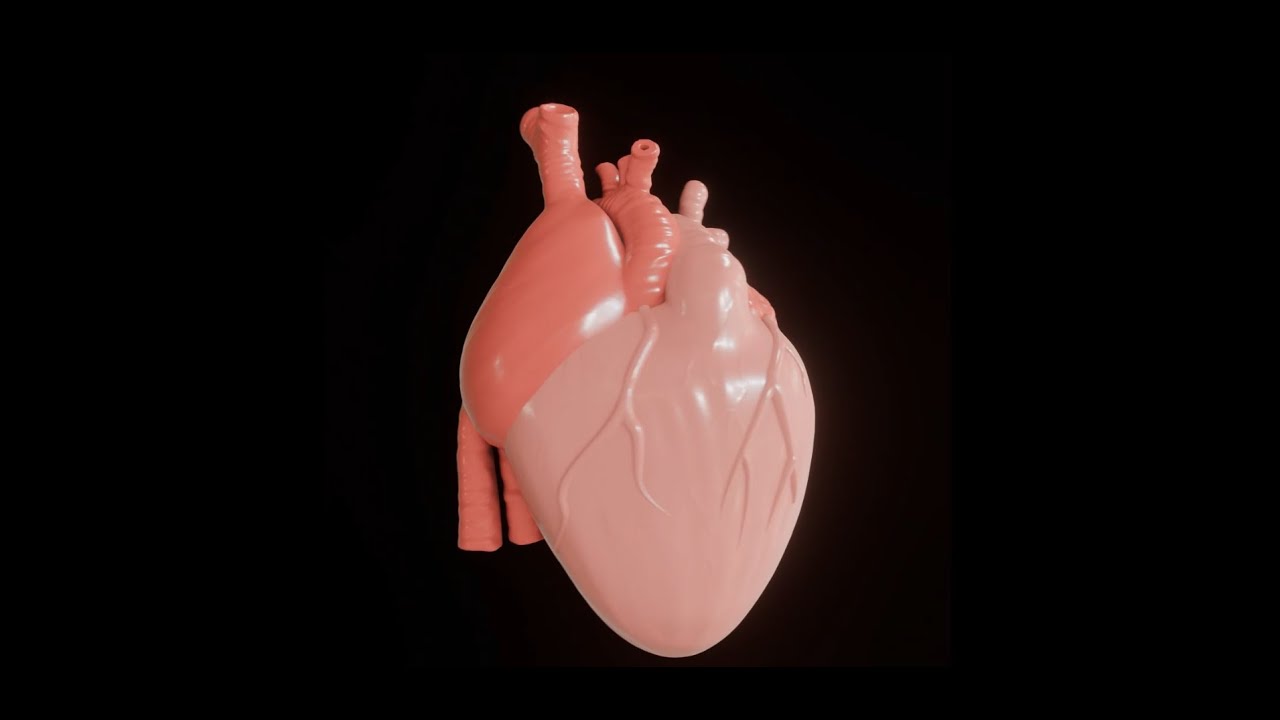 HUMAN HEART BLENDER 3D SCULPTING - Full Process