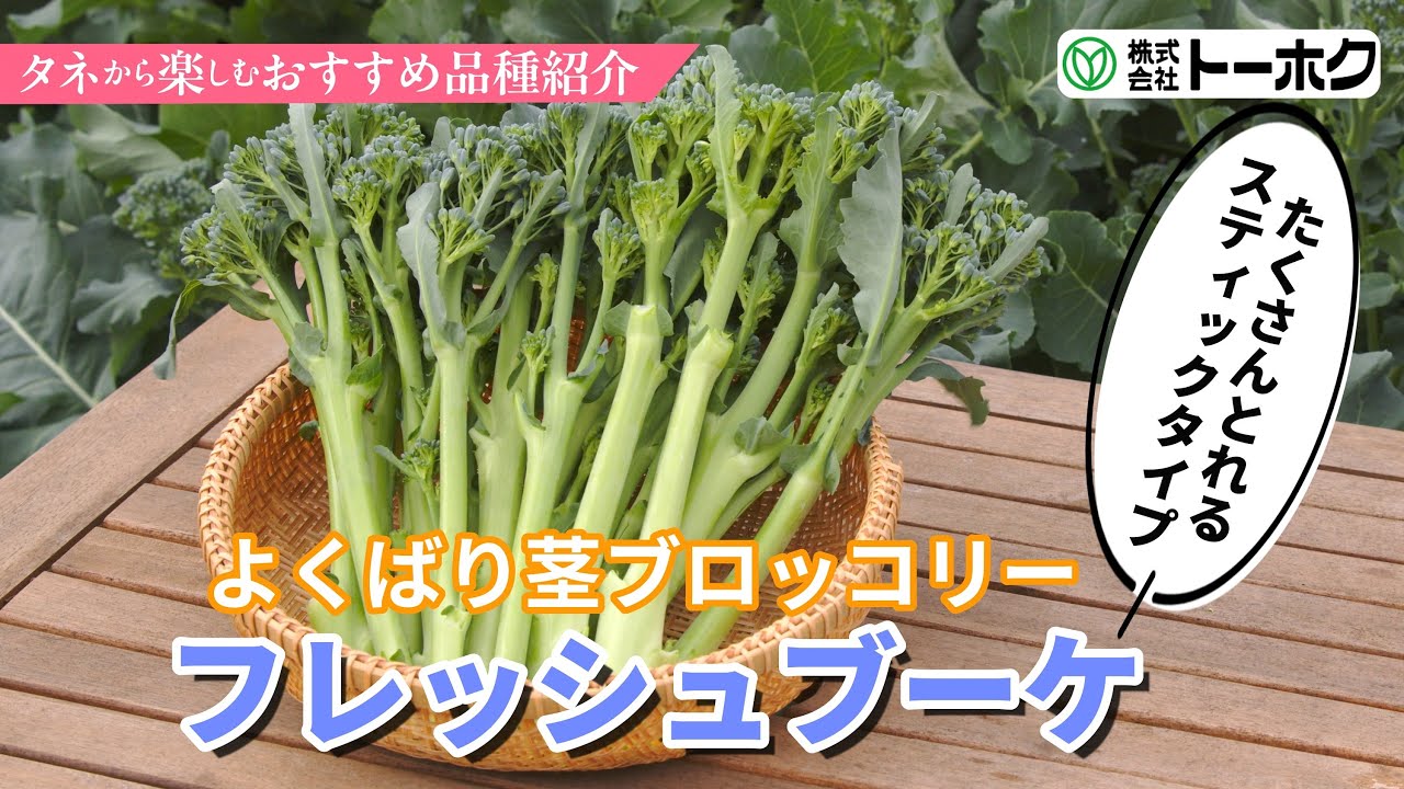 よくばり茎ブロッコリー　フレッシュブーケ