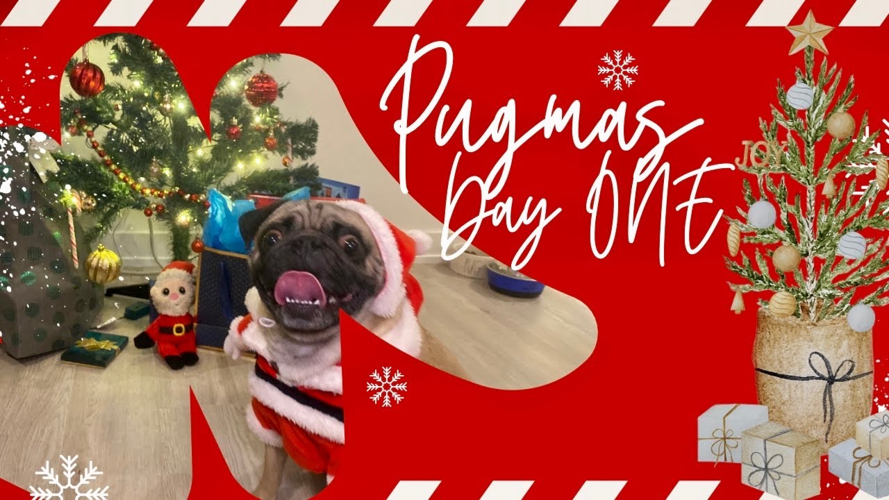 Vlogmas Day ONE | 23