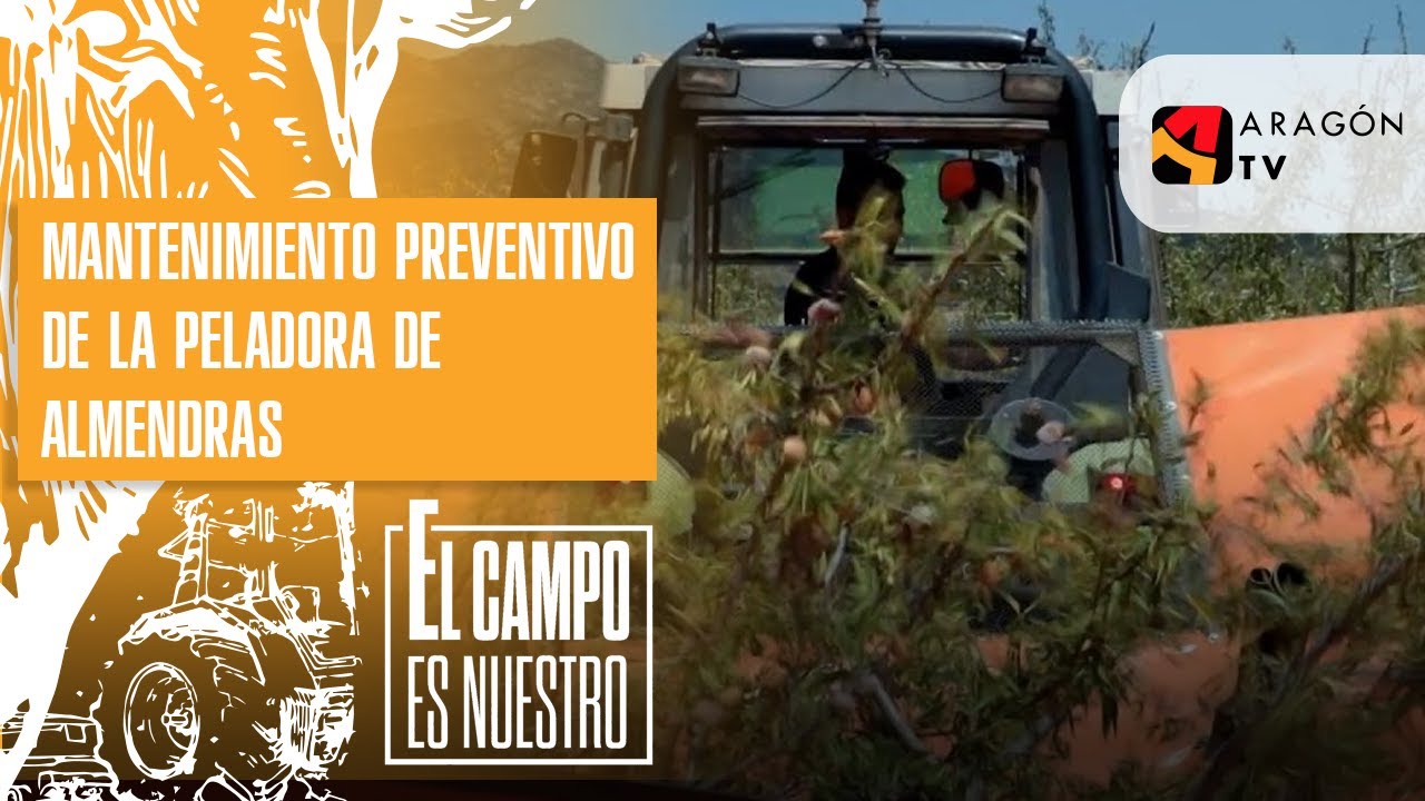 Mantenimiento preventivo de la peladora de almendras.
