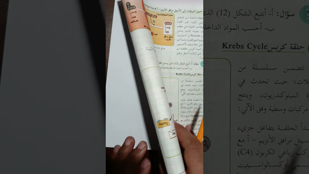 أحياء توجيهي (عملية التنفس الهوائي)