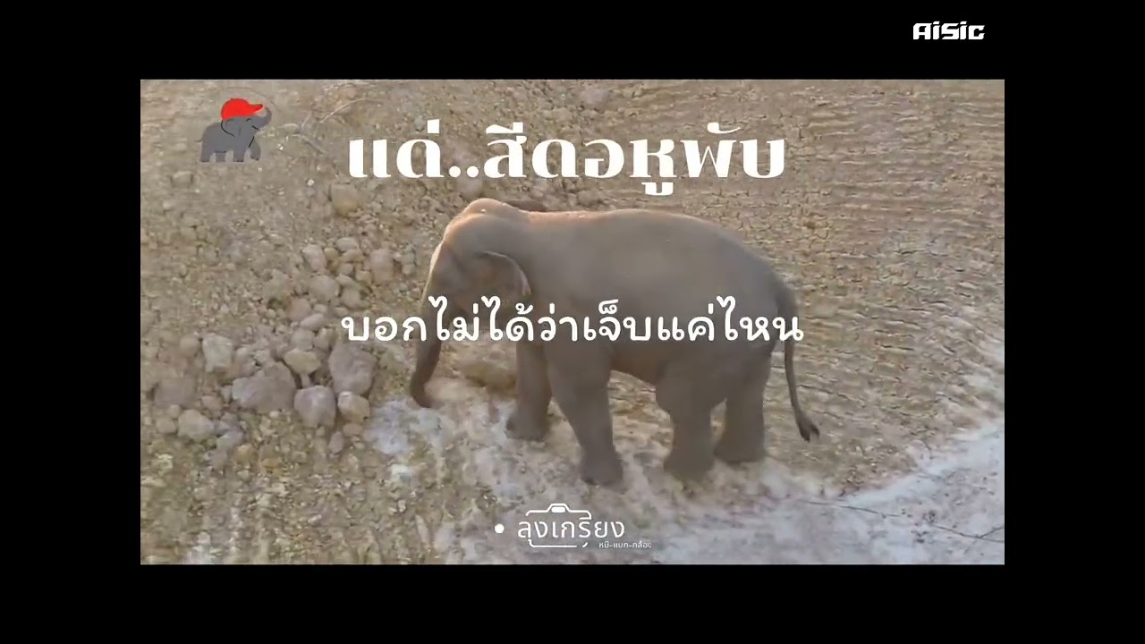 บ้านของฉัน