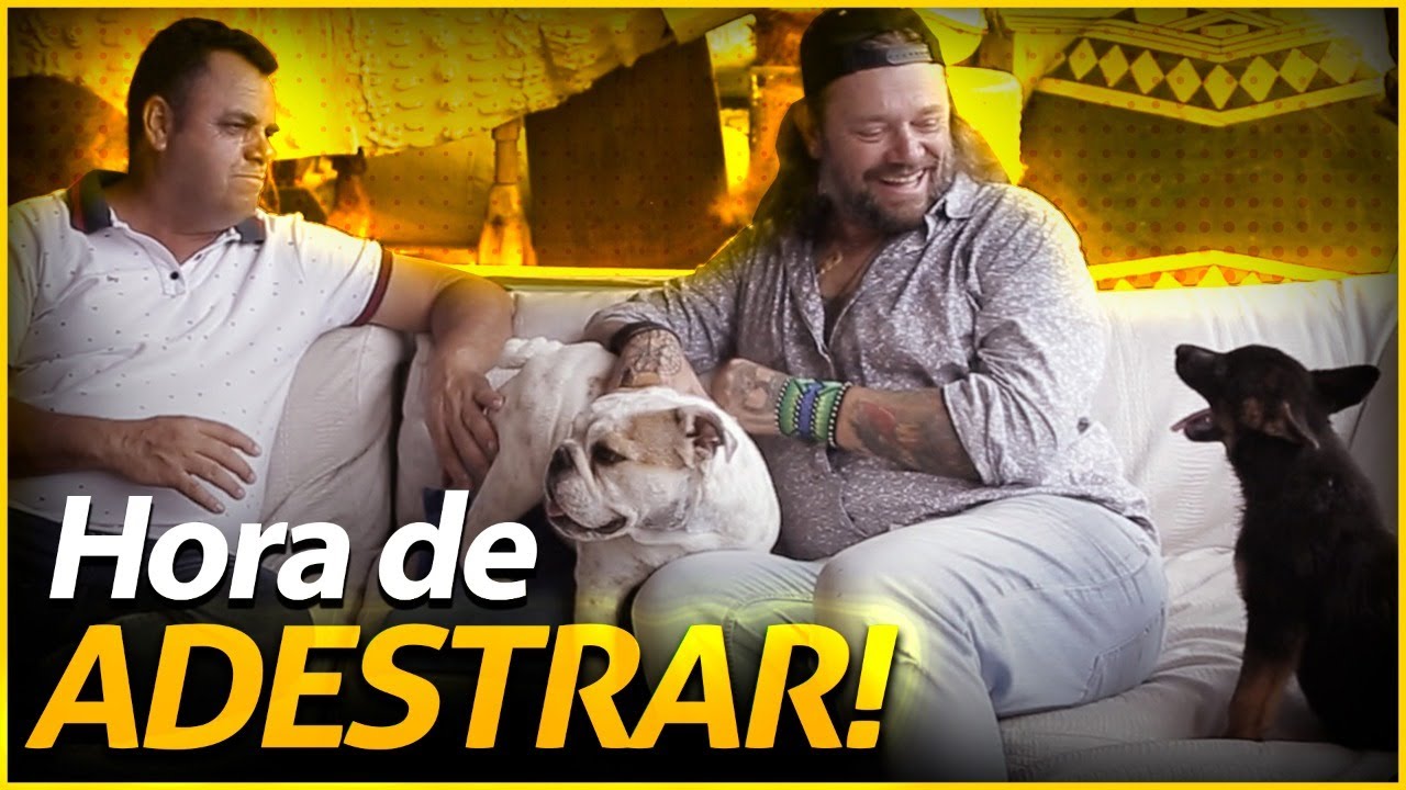 MEUS CACHORROS PRECISAM DE ADESTRAMENTO HIGIÊNICO | RICHARD RASMUSSEN