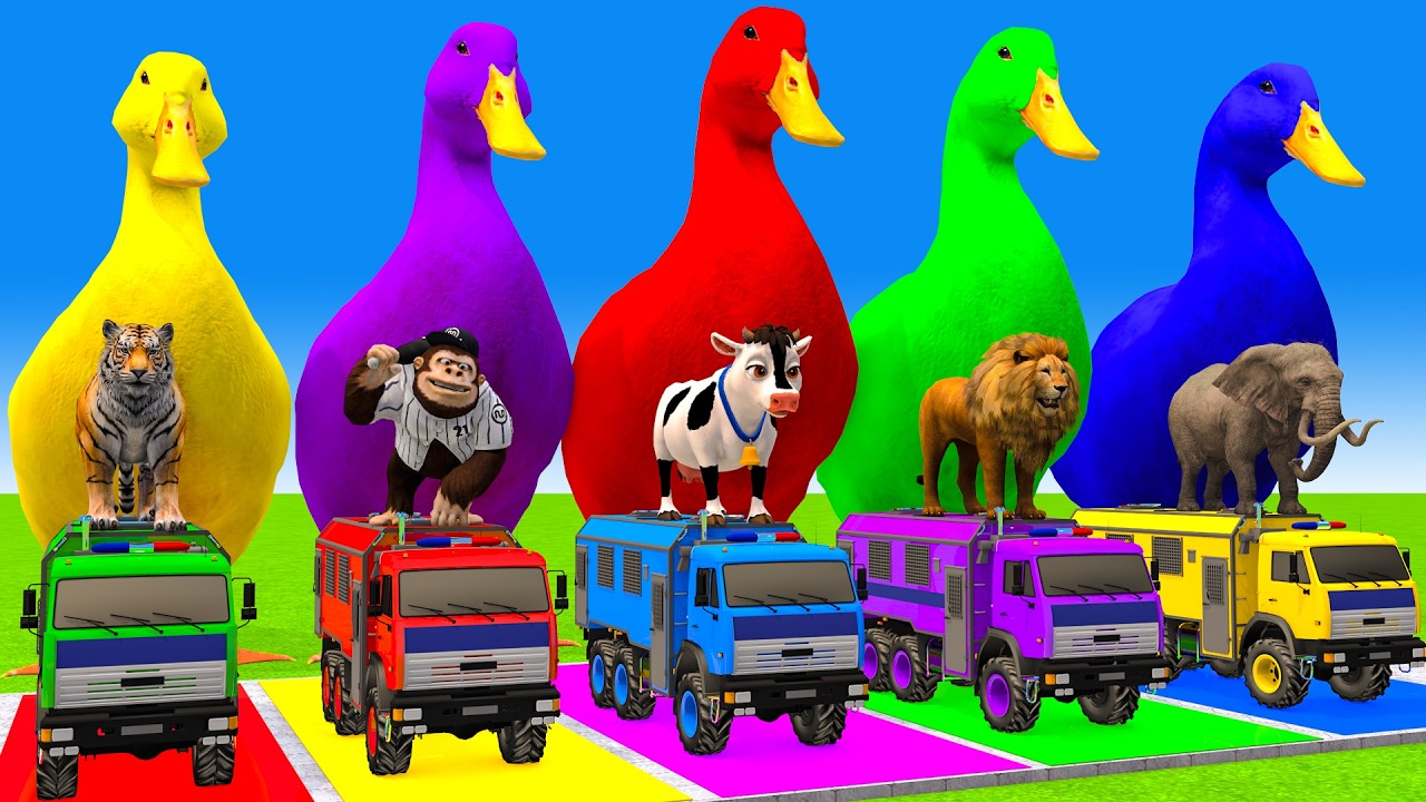 Long Slide Game With Cow Elephant Gorilla Hippopotamus Tiger 3d Animal Game Funny 3d Animals