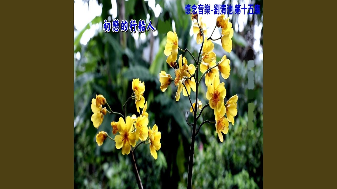 風流行船人