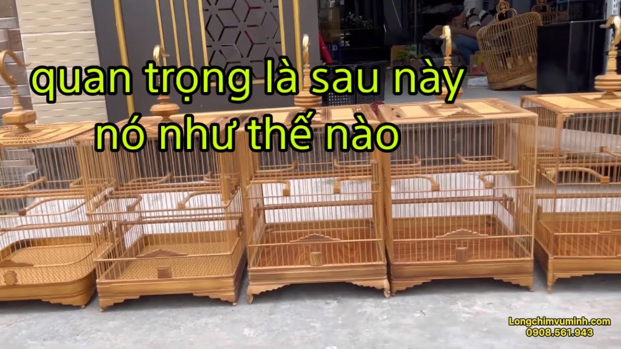 5 Mẫu lồng chào mào vuông cao được nhiều anh em yêu thích nhất của lồng chim Vũ Minh