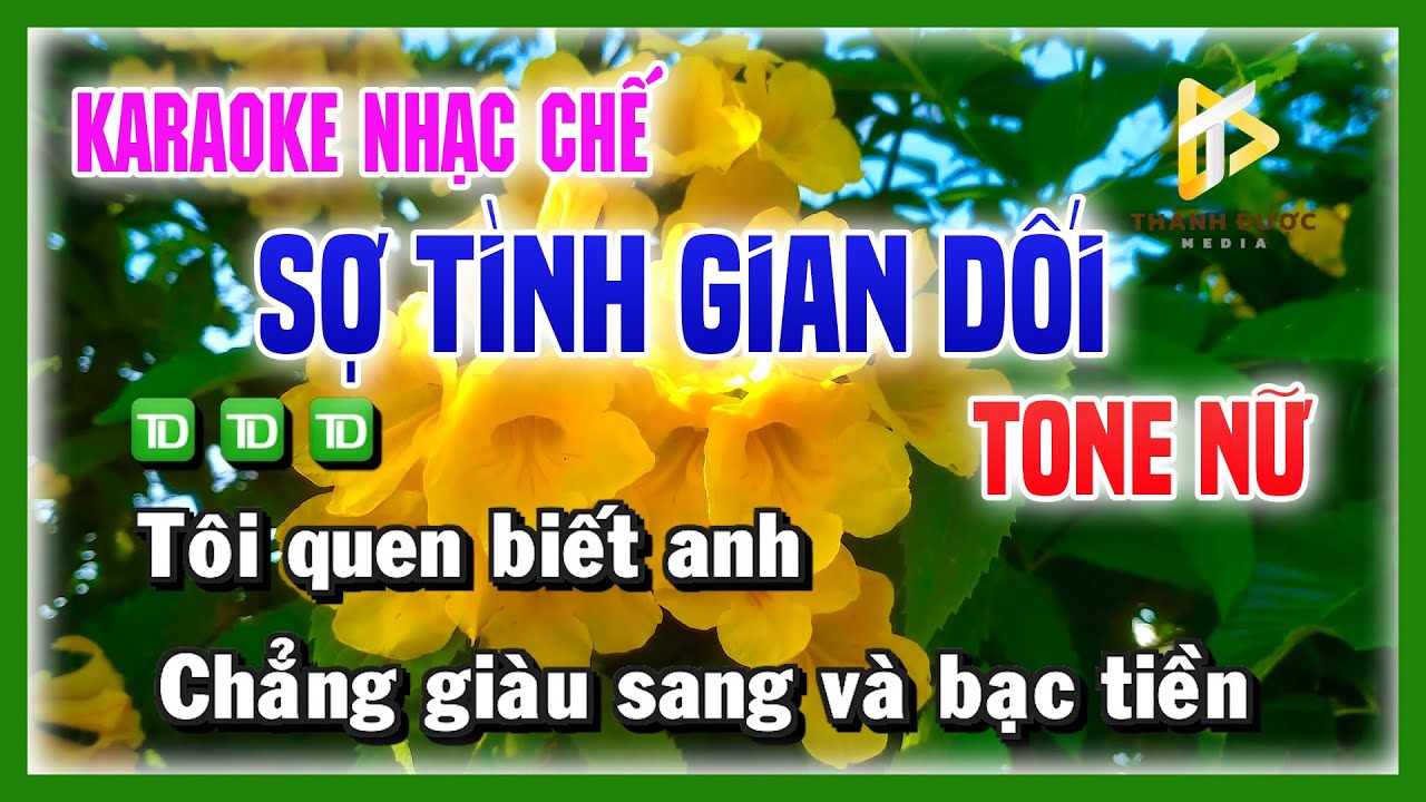 Karaoke SỢ TÌNH GIAN DỐI - Đời Tôi Bạc Phận Lầm Người Luôn Gian Dối TONE NỮ