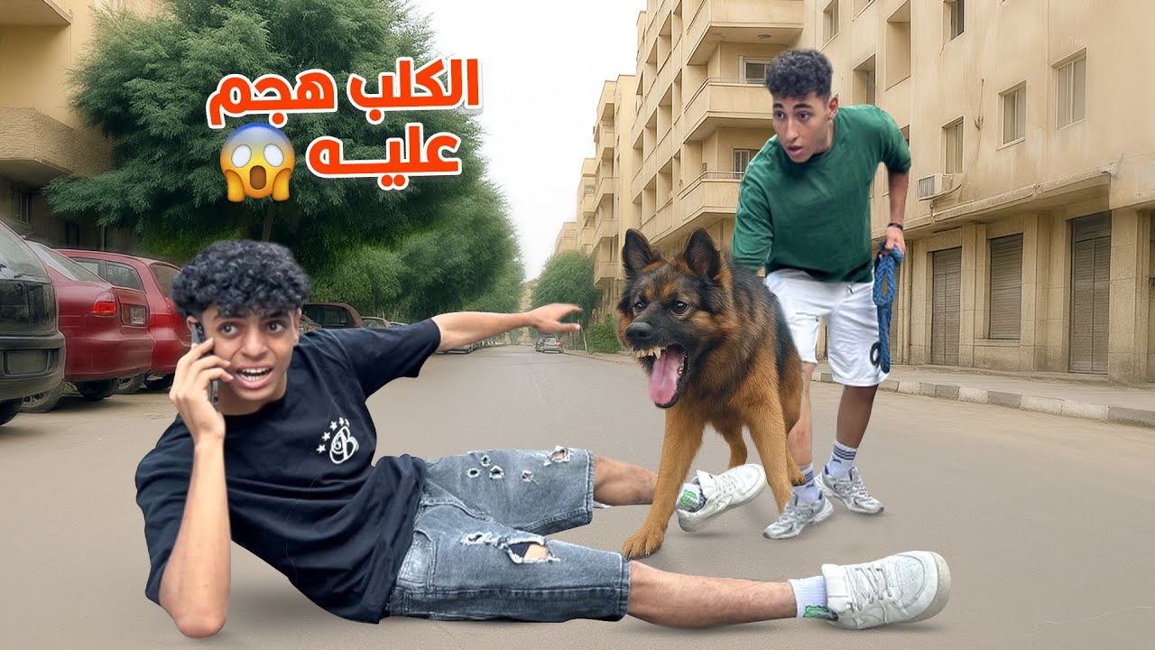 كلب قوي يساعد شخص يتغلب علي الرهاب الاجتماعي !