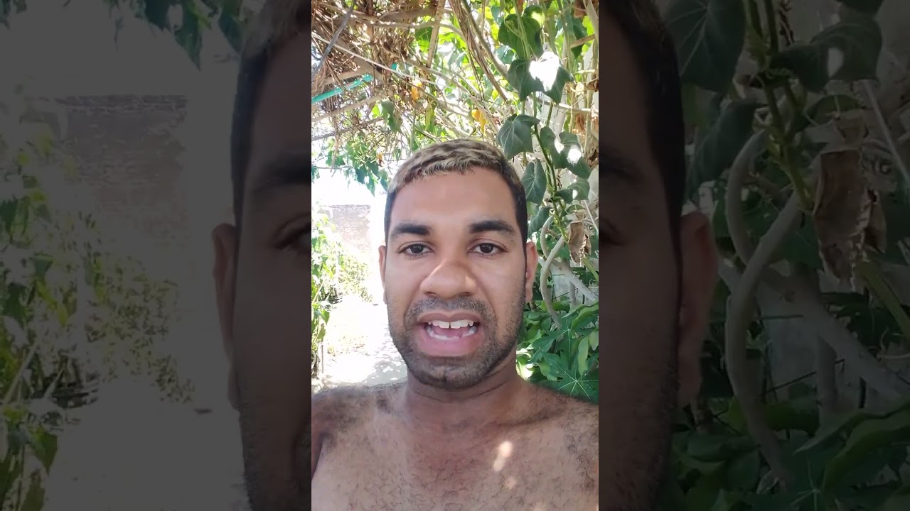 Wesley Felipe Ribeiro Moura Rangel - Mais tarde abençoada 2026