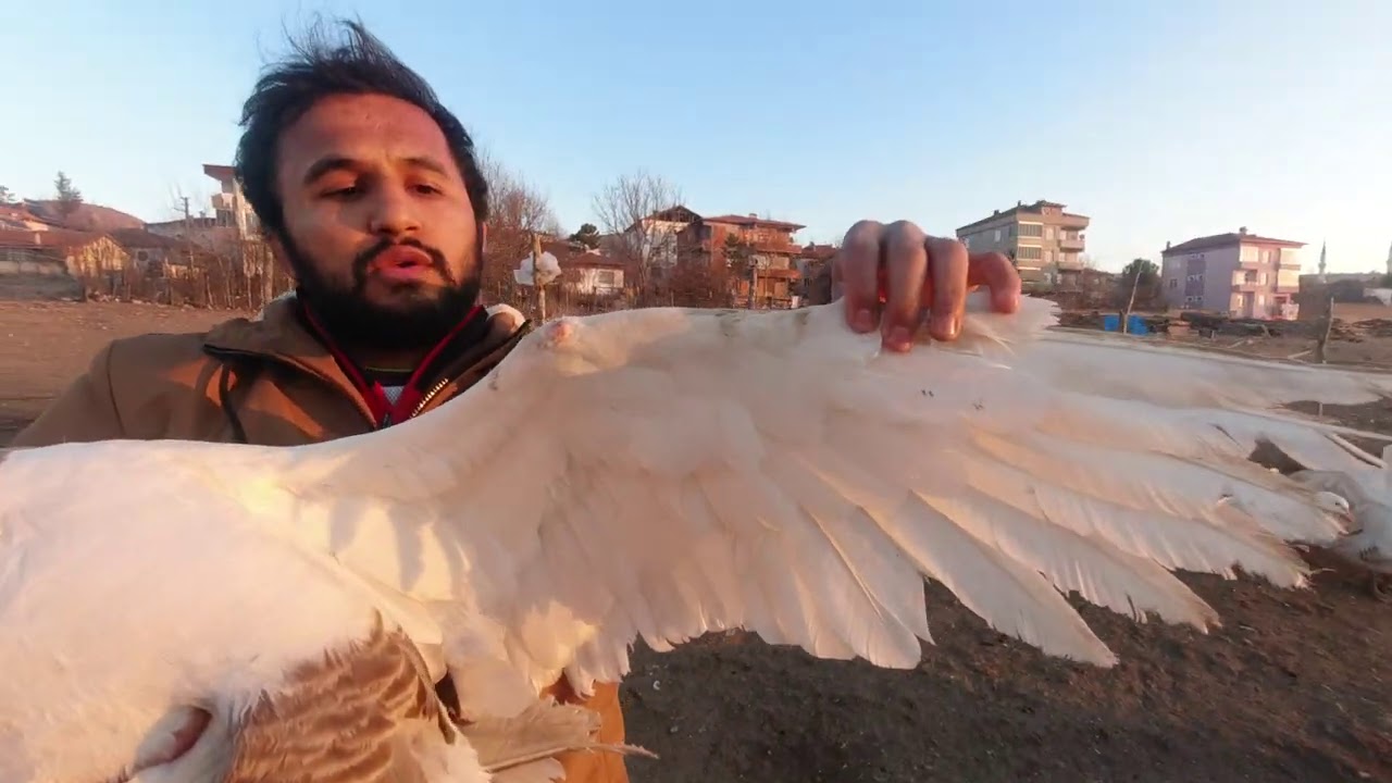 ÇORUM KAZI  ...EN IYI ORNEKLERI FATIH TE