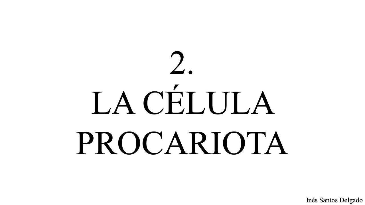 2. La célula procariota
