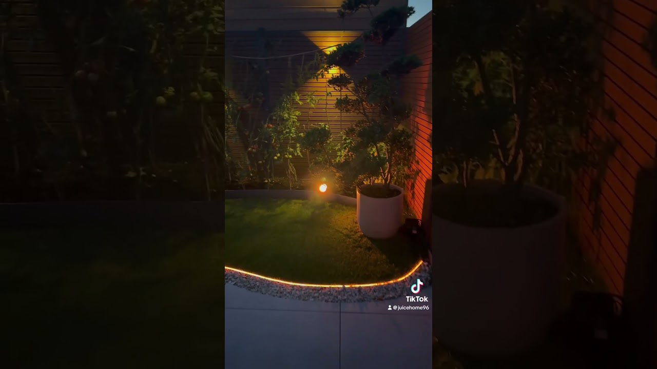 My garden in the night #youtubeshorts #trending #garden #gardening #flowers #tuintips #tuintips #fy