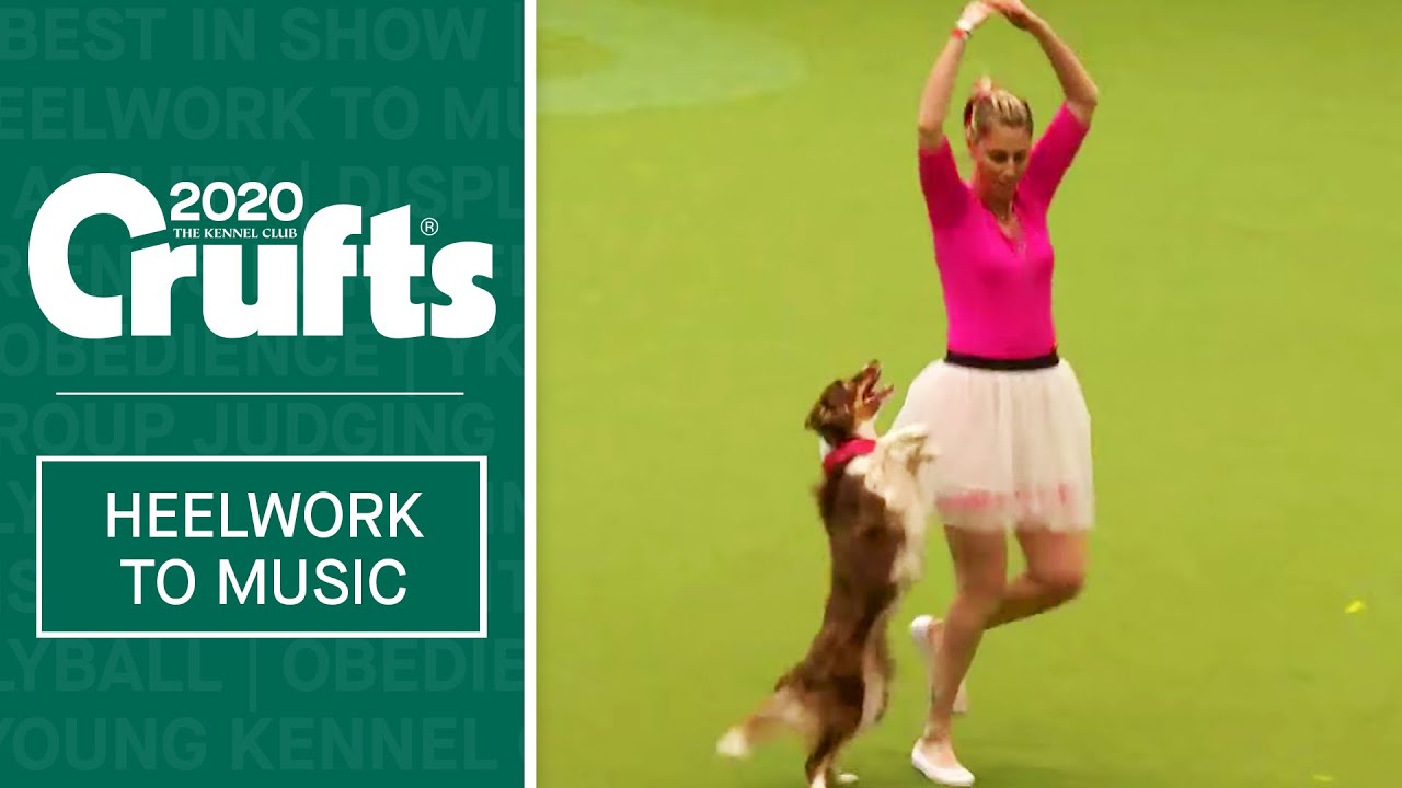 International Freestyle Heelwork To Music - Part 1 | Crufts 2020