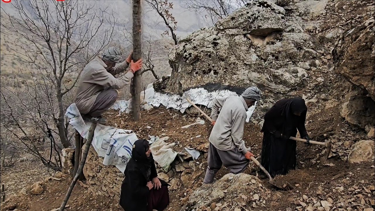 Hard life of cave nomads Covering the roof of the house with wood, soil in the mountains