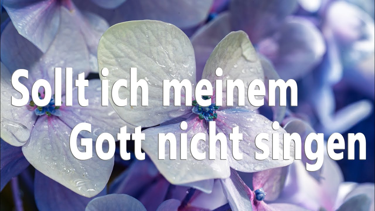 Sollt ich meinem Gott nicht singen (EG325) - zum Mitsingen mit Text