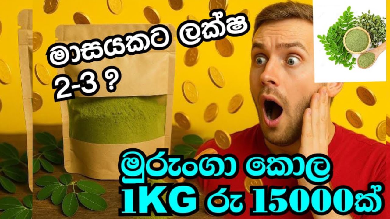 ඉහල ආදායමක් ලබාගන්න මුරුංගා පවුඩර් නිෂ්පාදනය කරමු. | Moringa powder