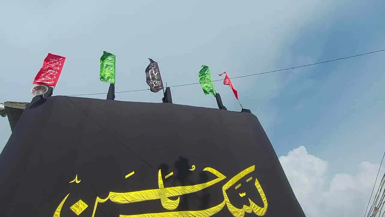 Labaik Ya Hussain (a.s.) #shia #muharram #muharram2025 #shorts #azadari #matamdari #naugawansadat