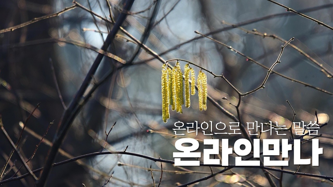 온라인만나 260223