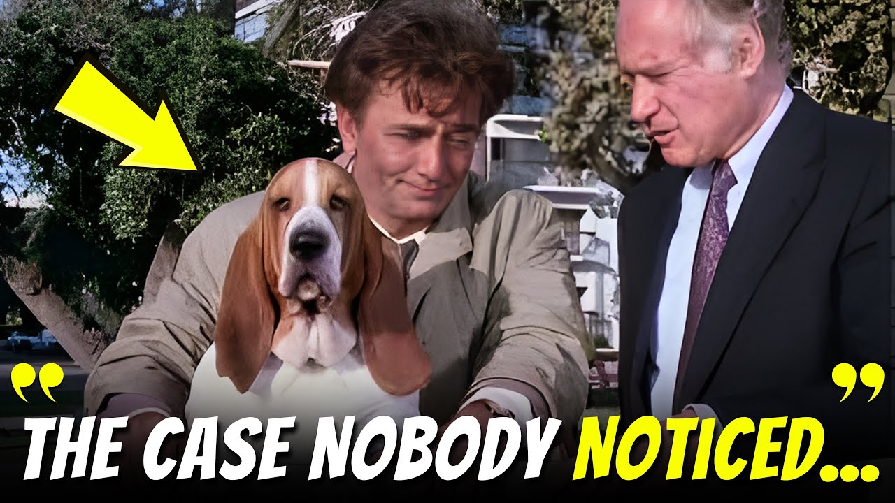 Columbo (1971) Was Smarter Than You Remember | 15 Hidden Details You Missed!