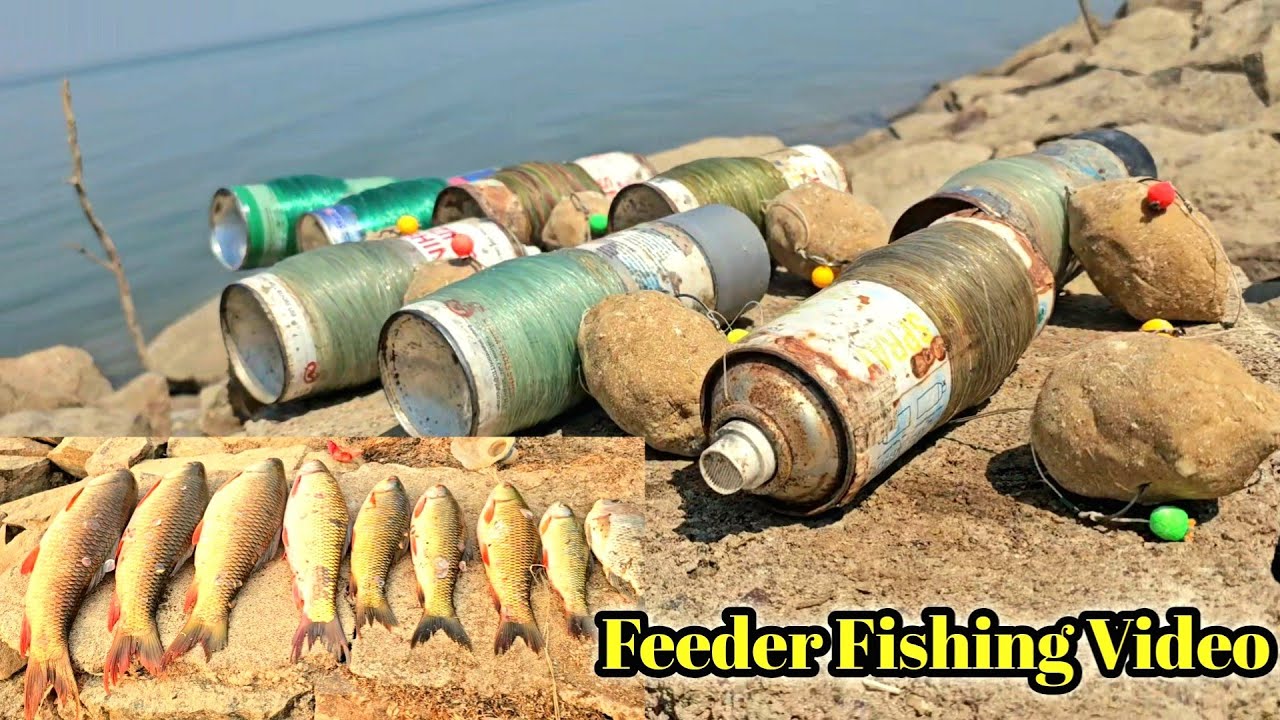 Unbelievable Fishing Video # Feeder Fishing Techniques # Big Rohu Fish Catching